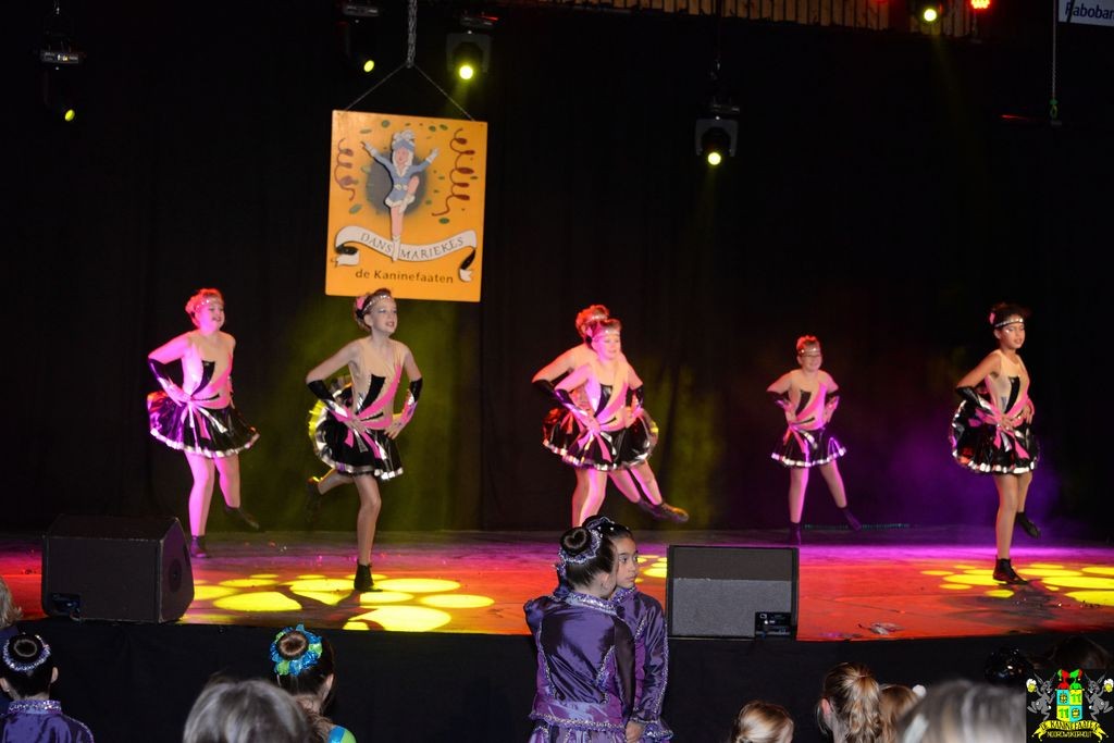 ../Images/Dansmarieke festival 2018 150.jpg